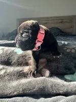 processed/5c5c9cff-dbbe-4e23-906f-bf11f3b62876/listing/d1dec10b-eb26-4551-95c6-4c4a66582415/ac202f20-8fb8-46df-8a56-81f54493aa84