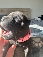 processed/5c5c9cff-dbbe-4e23-906f-bf11f3b62876/listing/d1dec10b-eb26-4551-95c6-4c4a66582415/da2ce122-f08f-4e1e-afc9-389ab393e72f