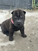 processed/5c5c9cff-dbbe-4e23-906f-bf11f3b62876/listing/d1dec10b-eb26-4551-95c6-4c4a66582415/e5e7f460-6894-42c1-a825-bce1968a6c79