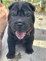 processed/5c5c9cff-dbbe-4e23-906f-bf11f3b62876/listing/d302f954-cedb-4c4b-8de6-40a2c0736e69/5d6bec12-24f2-4a8d-a317-260d5d50bd0b