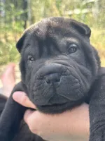 processed/5c5c9cff-dbbe-4e23-906f-bf11f3b62876/listing/d302f954-cedb-4c4b-8de6-40a2c0736e69/c4f4dc1e-a3da-4a83-8cc3-0403923fde92