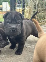 processed/5c5c9cff-dbbe-4e23-906f-bf11f3b62876/listing/d302f954-cedb-4c4b-8de6-40a2c0736e69/d779b0fb-5e1a-440a-81c3-ac1fabac562c