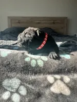 processed/5c5c9cff-dbbe-4e23-906f-bf11f3b62876/listing/d302f954-cedb-4c4b-8de6-40a2c0736e69/f6e4b49d-f4a3-4c11-b0e6-5b8cc2198e45