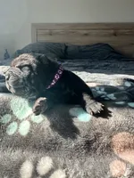 processed/5c5c9cff-dbbe-4e23-906f-bf11f3b62876/listing/ea1eb440-3864-4a31-8794-9f215e46c16c/6c91590c-cb27-4eae-a3cc-6d4a45b1a7dd