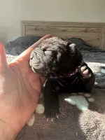 processed/5c5c9cff-dbbe-4e23-906f-bf11f3b62876/listing/ea1eb440-3864-4a31-8794-9f215e46c16c/85c5fa01-26e8-4f95-99bd-c0cc1f30c033