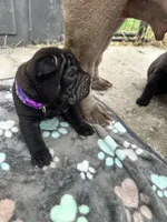 processed/5c5c9cff-dbbe-4e23-906f-bf11f3b62876/listing/ea1eb440-3864-4a31-8794-9f215e46c16c/9f638c0a-ed1a-4e73-8f01-936e130674f1