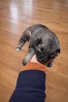 processed/5c697d61-7838-42ef-989b-ae63e65e975f/listing/03e8181c-0d1a-477b-8697-cbb68ba2a207/a9a3d430-e00d-4b95-a4e0-798c4e206ac9