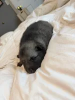 processed/5c697d61-7838-42ef-989b-ae63e65e975f/listing/3c60acfe-20c8-433f-8af0-b2a12ed55ddb/d3b713b0-e861-4a6d-bb60-81a9bb8eb483