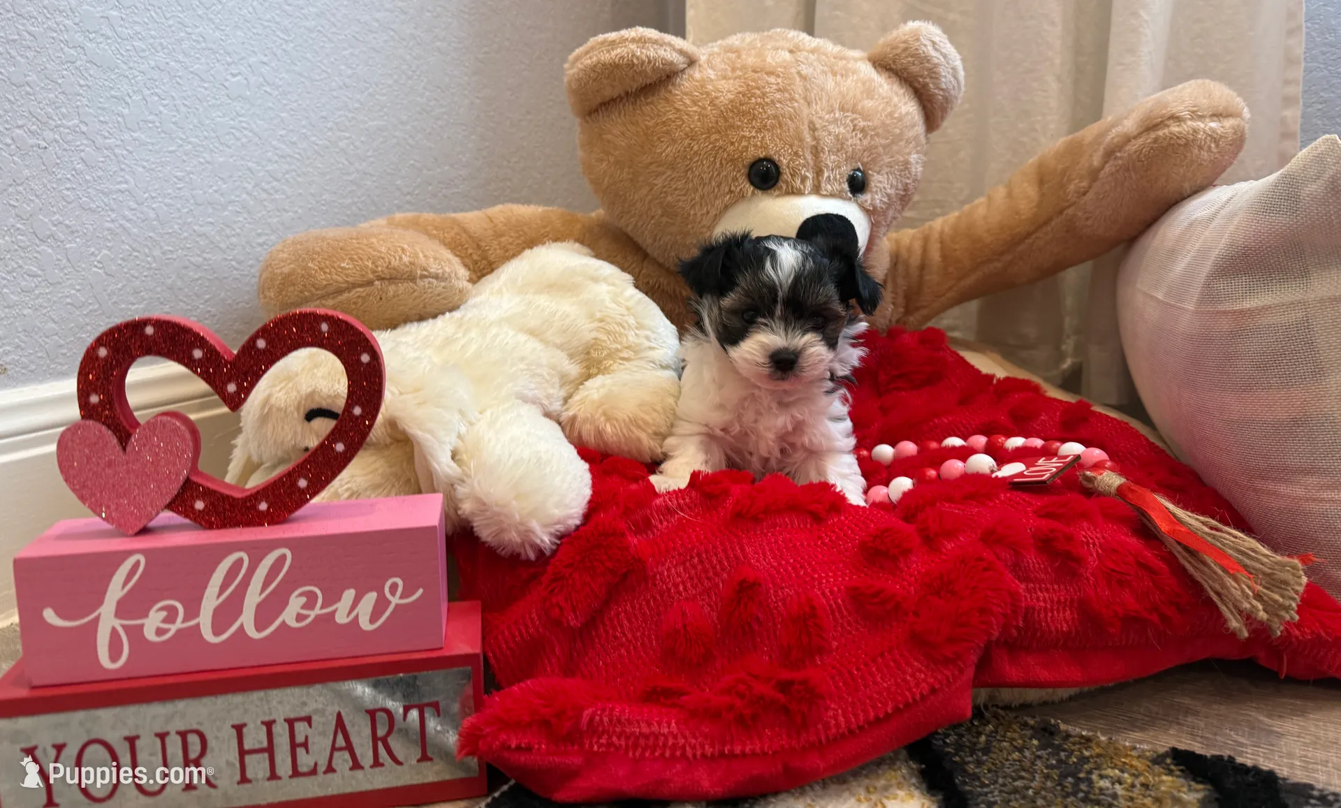 processed/5c6b4863-ca24-43f5-a6ee-b4318f16283f/listing/97c208f4-08d0-48d8-a094-d88c9f1d3c79/0e6f49b1-30b9-4bcd-be50-8bc49ba6ee9a