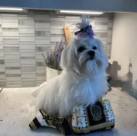 processed/5c6b4863-ca24-43f5-a6ee-b4318f16283f/listing/97c208f4-08d0-48d8-a094-d88c9f1d3c79/7fc32b04-90ed-4949-aa8b-31ff0fffb75c