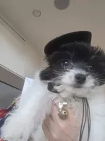 processed/5c6b4863-ca24-43f5-a6ee-b4318f16283f/listing/97c208f4-08d0-48d8-a094-d88c9f1d3c79/81b860db-8f8a-43cd-aa83-32e4fe8c94b3