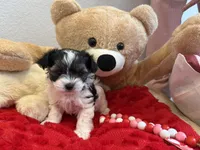 processed/5c6b4863-ca24-43f5-a6ee-b4318f16283f/listing/97c208f4-08d0-48d8-a094-d88c9f1d3c79/9c8db0c9-19d1-479e-982c-e6f6c48123aa