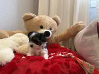 processed/5c6b4863-ca24-43f5-a6ee-b4318f16283f/listing/97c208f4-08d0-48d8-a094-d88c9f1d3c79/a410f53b-a5ec-408b-b5ea-c5c420110973