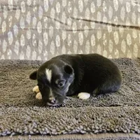 processed/5c806e69-5f5f-407b-a882-15b2b6d4106b/listing/10dfd017-b229-4062-be70-5429a27b16be/12edb1fb-8c7e-4113-9e42-a85afcafec31