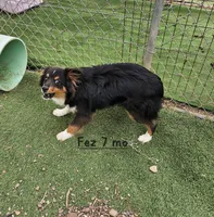 processed/5c806e69-5f5f-407b-a882-15b2b6d4106b/listing/10dfd017-b229-4062-be70-5429a27b16be/4f267a28-f5c4-42ac-9ac2-a319a5e339b8