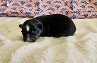 processed/5c806e69-5f5f-407b-a882-15b2b6d4106b/listing/10dfd017-b229-4062-be70-5429a27b16be/543f79e3-5478-40ce-ba01-6c14760fcc32