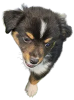 processed/5c806e69-5f5f-407b-a882-15b2b6d4106b/listing/10dfd017-b229-4062-be70-5429a27b16be/e297407e-13e3-4a26-a11e-125ecb51f8a5