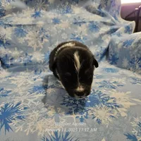 processed/5c806e69-5f5f-407b-a882-15b2b6d4106b/listing/4caca434-7211-440e-aa8c-42a780e65e4d/039aacb5-90a6-419e-8e00-cf86de79baa0