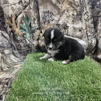 processed/5c806e69-5f5f-407b-a882-15b2b6d4106b/listing/4caca434-7211-440e-aa8c-42a780e65e4d/0af525b7-482c-4374-8447-5fc5a86c4357