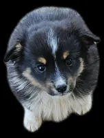 processed/5c806e69-5f5f-407b-a882-15b2b6d4106b/listing/4caca434-7211-440e-aa8c-42a780e65e4d/8b267431-7812-4b33-acf9-7ca7af54f4cb