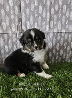 processed/5c806e69-5f5f-407b-a882-15b2b6d4106b/listing/4caca434-7211-440e-aa8c-42a780e65e4d/8b44527c-b4b5-4d2b-85f6-a8e24e266cfa