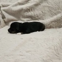 processed/5c806e69-5f5f-407b-a882-15b2b6d4106b/listing/4caca434-7211-440e-aa8c-42a780e65e4d/96df7c82-6c29-4b46-b2f9-7f807691411f