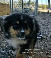 processed/5c806e69-5f5f-407b-a882-15b2b6d4106b/listing/4caca434-7211-440e-aa8c-42a780e65e4d/f97e2f18-28fc-4b46-bf36-98d421a905f9