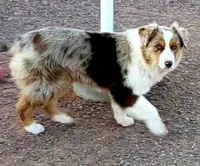 processed/5c806e69-5f5f-407b-a882-15b2b6d4106b/listing/853f7956-afe3-4f70-b2c4-535e647973e5/a91cf051-f3c3-43f7-b5c7-f6d399ce08d2