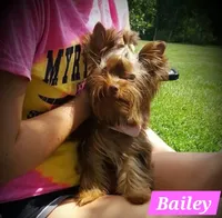 processed/5c84758d-df7f-45db-b3c6-ab872ed23d10/facility/109d8f3f-f5f9-4b52-81a7-80c94b751e60