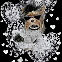 processed/5c84758d-df7f-45db-b3c6-ab872ed23d10/facility/5809e0ef-a18f-4a77-8e05-c444cf996f19