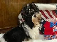 processed/5c84758d-df7f-45db-b3c6-ab872ed23d10/facility/dffcc4df-3314-4e26-a078-5392cc27da27