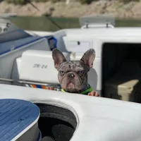 processed/5c86e863-46fd-4565-9335-8ca741ef56ed/facility/0100afa7-3385-4efe-8010-2ee34f85b930