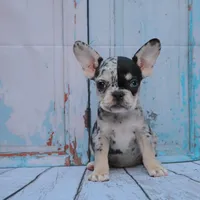 processed/5c86e863-46fd-4565-9335-8ca741ef56ed/facility/273b7664-4896-4996-8d42-6a07a54f0203