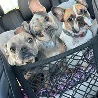 processed/5c86e863-46fd-4565-9335-8ca741ef56ed/facility/797a7245-92f2-4f5a-a992-e1b480b1e248