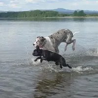 processed/5c86e863-46fd-4565-9335-8ca741ef56ed/facility/b98a2aae-e1f5-446d-9e53-cf2819fc0c59