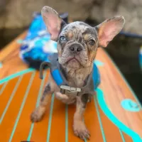 processed/5c86e863-46fd-4565-9335-8ca741ef56ed/facility/e8d29755-3ed9-418a-96e9-6e47f94b97af