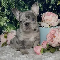 processed/5c86e863-46fd-4565-9335-8ca741ef56ed/listing/50731979-f5bf-43dc-91f4-03368e83a1a1/207305df-c53e-4db8-9a3c-b6de75b77069