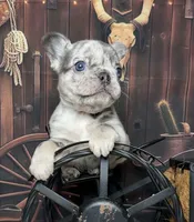 processed/5c86e863-46fd-4565-9335-8ca741ef56ed/listing/50731979-f5bf-43dc-91f4-03368e83a1a1/91def25e-903f-4c99-ab9f-02535641caff