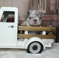 processed/5c86e863-46fd-4565-9335-8ca741ef56ed/listing/50731979-f5bf-43dc-91f4-03368e83a1a1/9e24f757-8e50-4006-a43a-d4a211b0e6a8