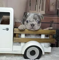 processed/5c86e863-46fd-4565-9335-8ca741ef56ed/listing/50731979-f5bf-43dc-91f4-03368e83a1a1/b6fb2d4c-e5f0-4271-b865-c5304cbeece0