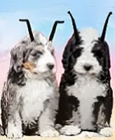 processed/5c9552e4-409d-4942-af78-17cc7184cff5/facility/67a3f9e6-7754-4260-a937-690f4341d4f0