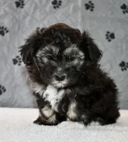 processed/5ca24492-2b8f-4f2e-aaff-8a46667c72d3/listing/32973153-07f4-49ec-95f5-705742299364/0971ed21-3885-40f2-9df9-498063a80962