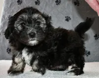 processed/5ca24492-2b8f-4f2e-aaff-8a46667c72d3/listing/32973153-07f4-49ec-95f5-705742299364/2a63ff3d-3e2b-4de0-878c-1ac4238855ce