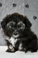 processed/5ca24492-2b8f-4f2e-aaff-8a46667c72d3/listing/32973153-07f4-49ec-95f5-705742299364/e0c117fd-a519-458b-a4aa-57bb320a9ded