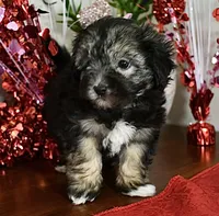 processed/5ca24492-2b8f-4f2e-aaff-8a46667c72d3/listing/6c9b33b9-8a4f-4b2d-b25c-41818703bc14/eaa8f2b7-f091-43e8-b4e0-15574aeb2bc3