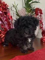 processed/5ca24492-2b8f-4f2e-aaff-8a46667c72d3/listing/9a6f3b81-f46b-4bfd-8fd4-0e010876d09b/5c3c568f-dff7-4605-96f0-c51e59a23743