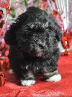 processed/5ca24492-2b8f-4f2e-aaff-8a46667c72d3/listing/bc6be67d-f977-479c-a296-23fe4132b9b6/12a3093d-362c-47c0-b5ef-ad52177b22b6