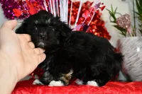 processed/5ca24492-2b8f-4f2e-aaff-8a46667c72d3/listing/bc6be67d-f977-479c-a296-23fe4132b9b6/fe7778b6-1584-45d1-9cd0-5a69d95ca627