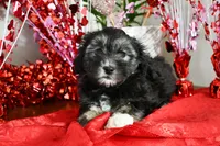 processed/5ca24492-2b8f-4f2e-aaff-8a46667c72d3/listing/ff34a638-0525-4897-a3af-5ed6a6bb140e/2655ce07-9d32-4e9d-afa4-4c0188ea4ac2