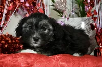 processed/5ca24492-2b8f-4f2e-aaff-8a46667c72d3/listing/ff34a638-0525-4897-a3af-5ed6a6bb140e/5afd0190-d2f3-4661-b19a-ff5b47effe5b